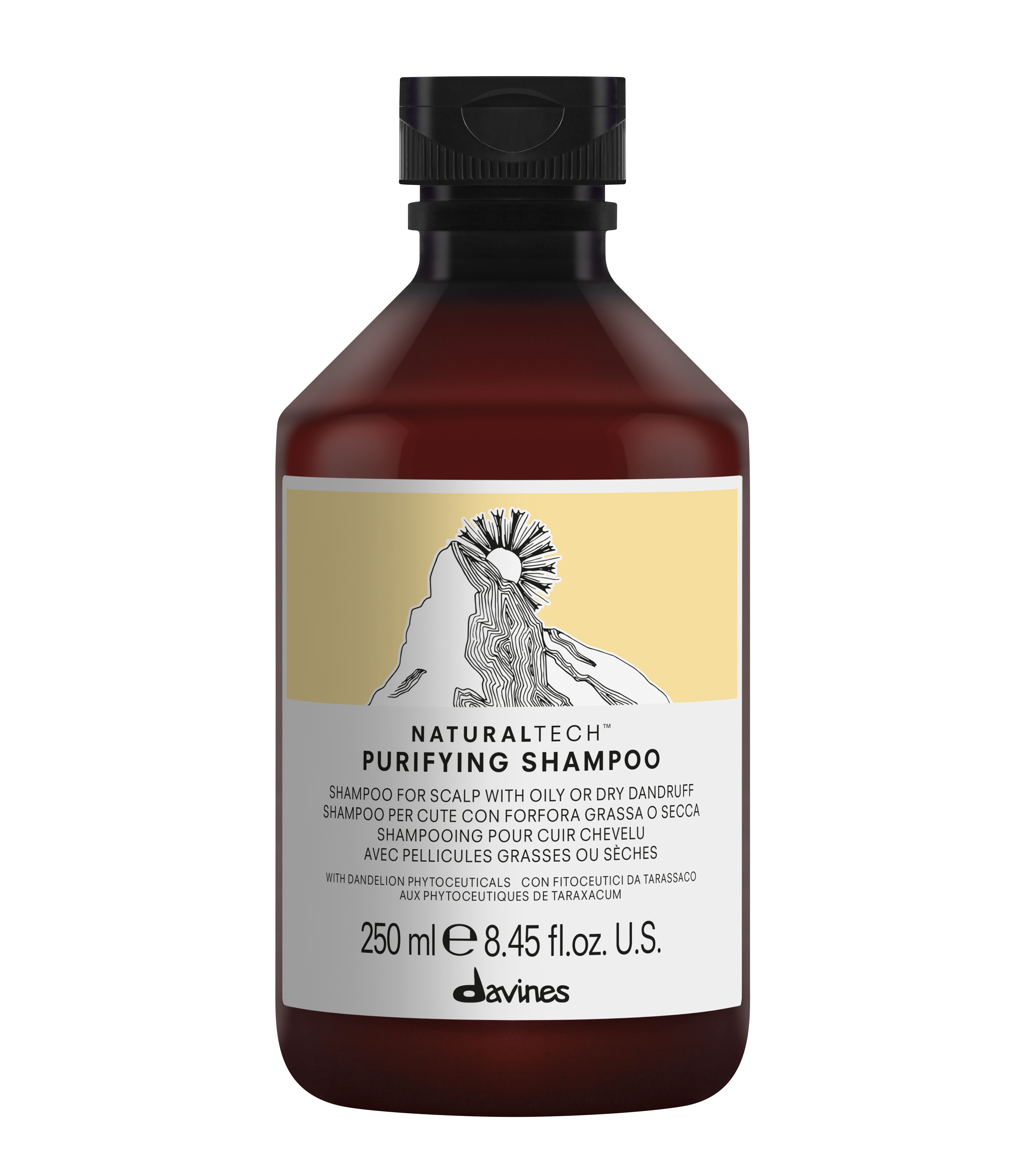 NATURALTECH PURIFYING shampoo