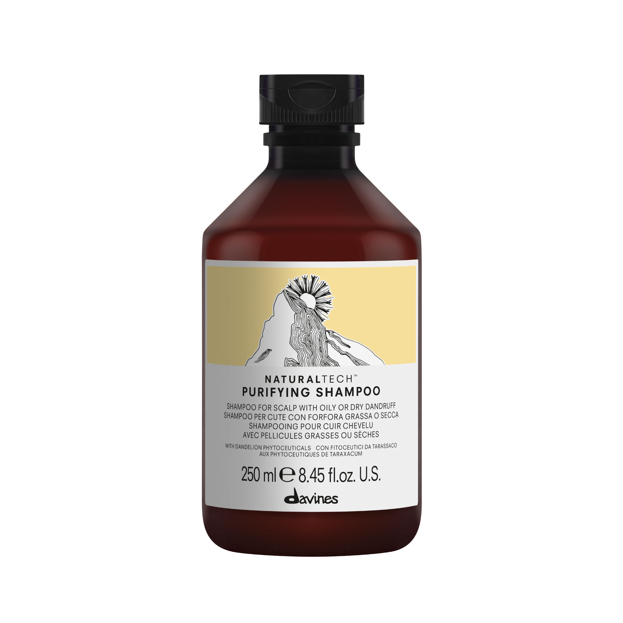 NATURALTECH PURIFYING SHAMPOO